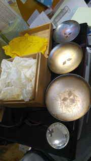 847A275C-8696-460C-A997-43FCB168C486.jpg
